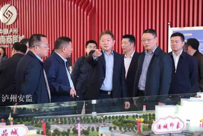 泸州市委副书记、代理市长杨林兴检查调研安全生产工作